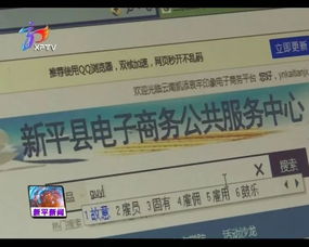 新平電子商務(wù) 雙翼齊飛助推農(nóng)特產(chǎn)品與電子產(chǎn)品銷售